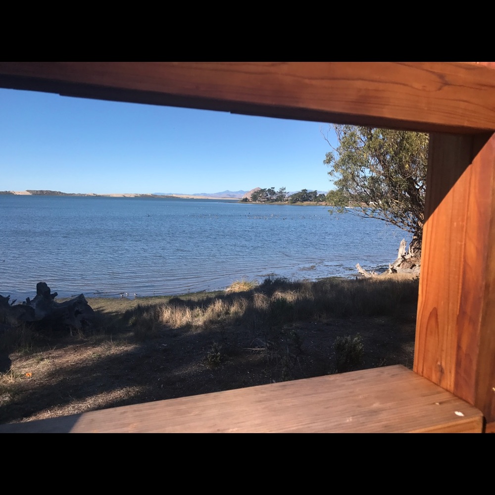 Meet your Posher, Trina